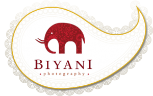 Indian Wedding Photography Company's Logo with Red Elephant