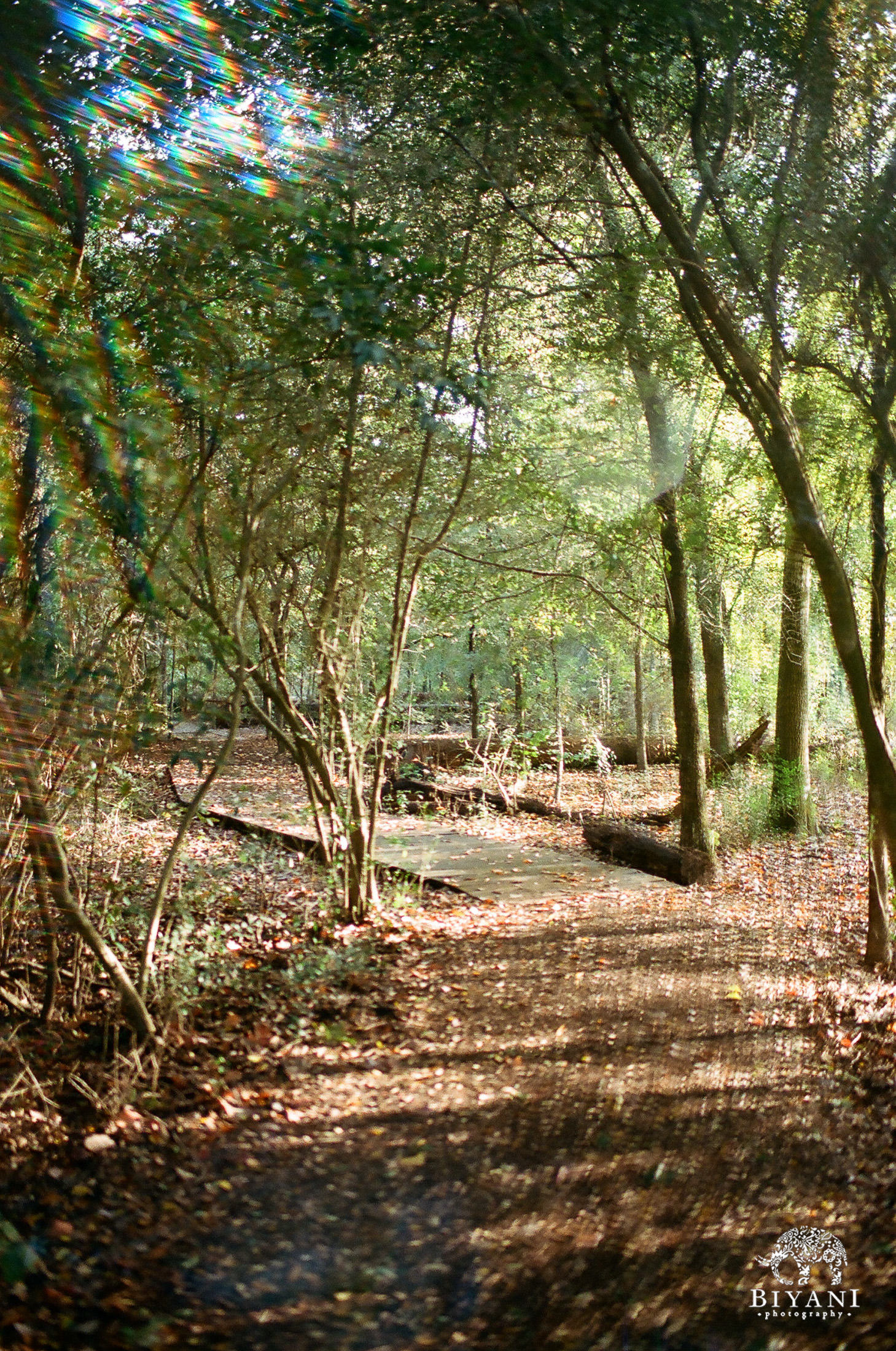 Houston Arboretum 