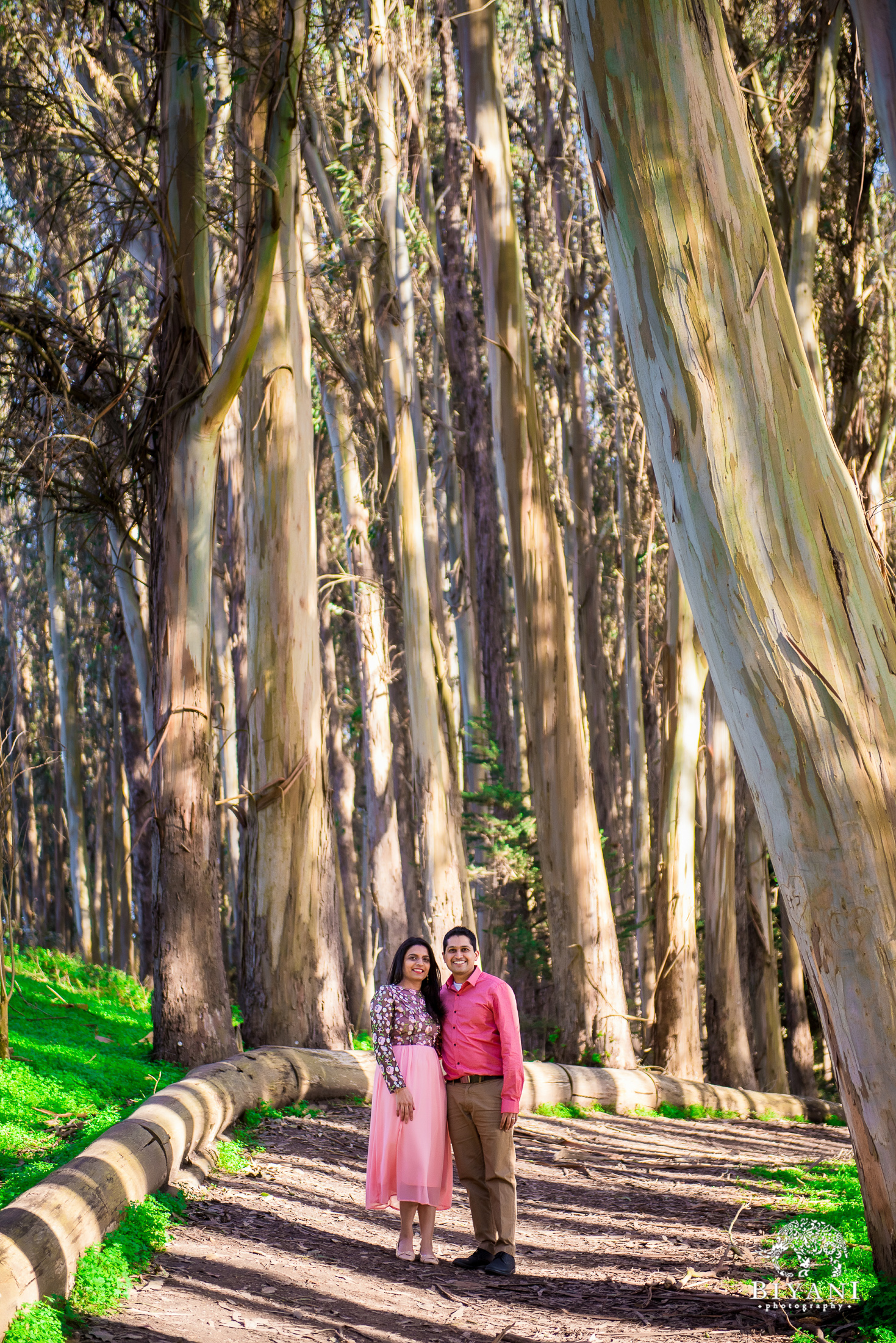 San Francisco engagement photo shoot with couple in the forest on a sunny day 